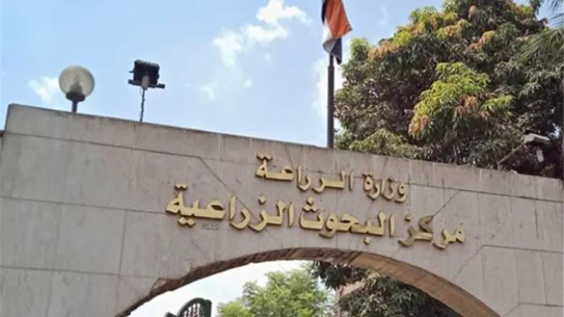 مدير معهد بحوث وقاية النباتات يقرر تمديد المشاركة ببحث بالمؤتمر الدولي السادس