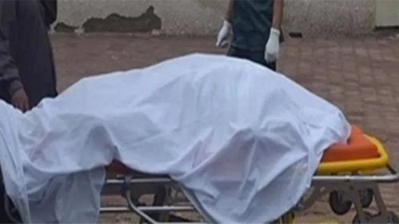 تفاصيل مثيرة في واقعة ذبح مدير مستشفى منيا القمح الاسبق لزوجته