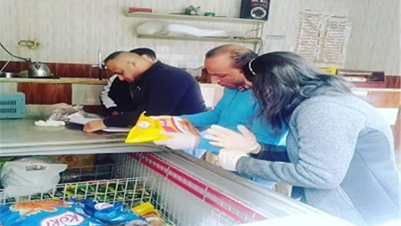 ضبط لحوم وحلوى فاسدة قبل بيعها للمواطنين بالوادى الجديد