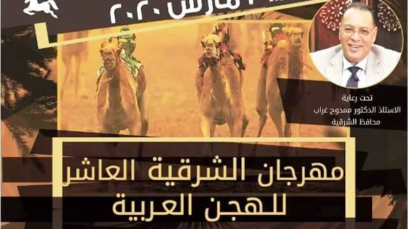 إنطلاق فاعليات مهرجان الشرقية العاشر للهجن العربية بطريق بلبيس العاشر..غداً