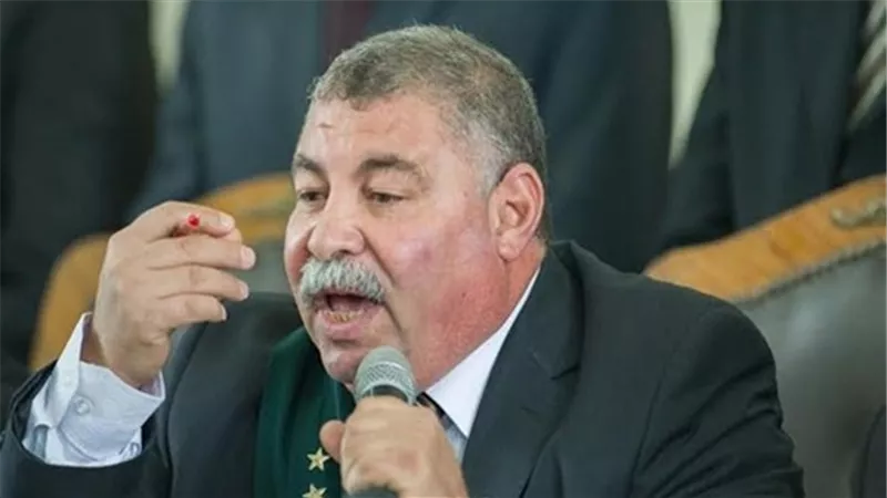 قاضى أنصار بيت المقدس للمتهمين :مصر ليست مسرحا للإرهابيين بل هي مقبرة للغزاة