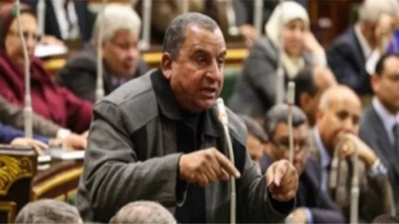عبدالحميد كمال يتحفظ على مشروع قانون تنظيم بعض أوضاع نواب المحافظين