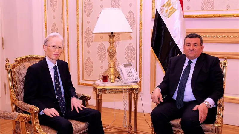 هيكل يستقبل السفير الياباني بالقاهرة