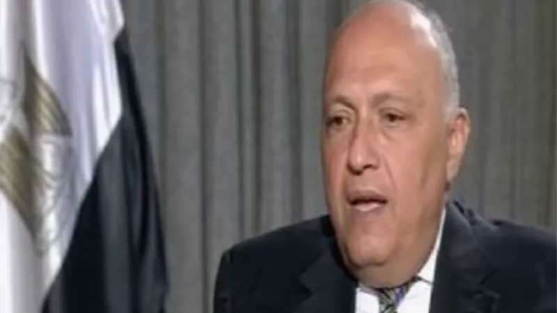 شكري : مصر تعمل على الاتفاق بما يضمن حقوقها المائية دون التعدي على مصالح إثيوبيا