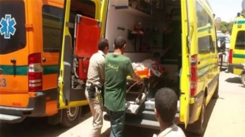 سائق وإبنه يقتلان جارهما في مشاجرة بسبب تغيير كالون باب بشبرا