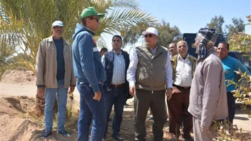 قاعدة بيانات للقضاء على الفقر والأمية والإعاقة بالوادى الجديد.صور