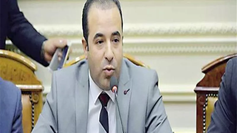النائب أحمد بدوي يحذر من انتشار الشائعات على السوشيال ميديا ويطالب بالتصدي لها