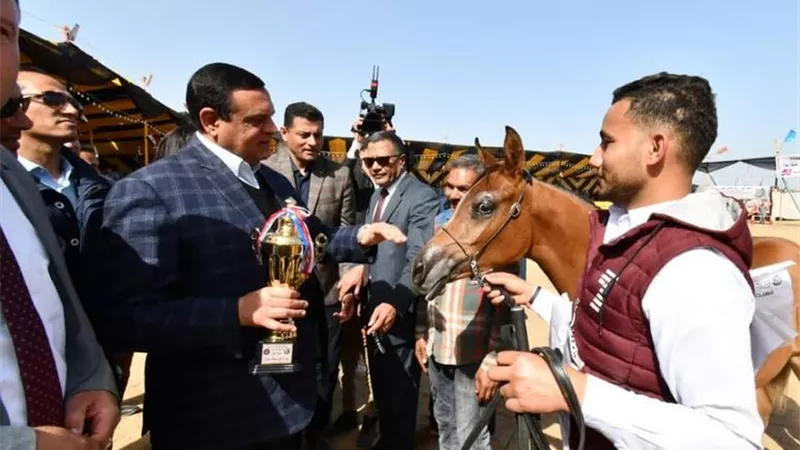 محافظ البحيرة يفتتح المهرجان الدولي الثالث عشر للخيول العربية