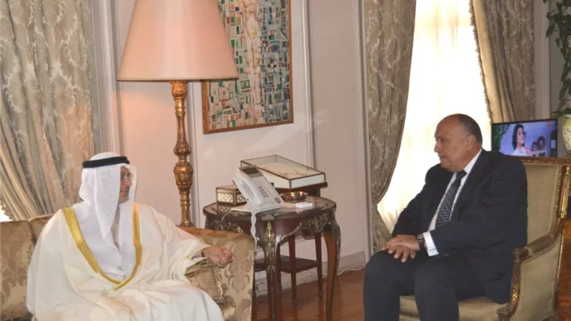 وزير الخارجية يبحث مع نظيره الاماراتي الأزمات الإقليمية الراهنة ومجالات التعاون المشترك