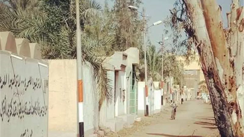 رفع كفاءة وإنارة مقابر بيلا في كفرالشيخ .صور
