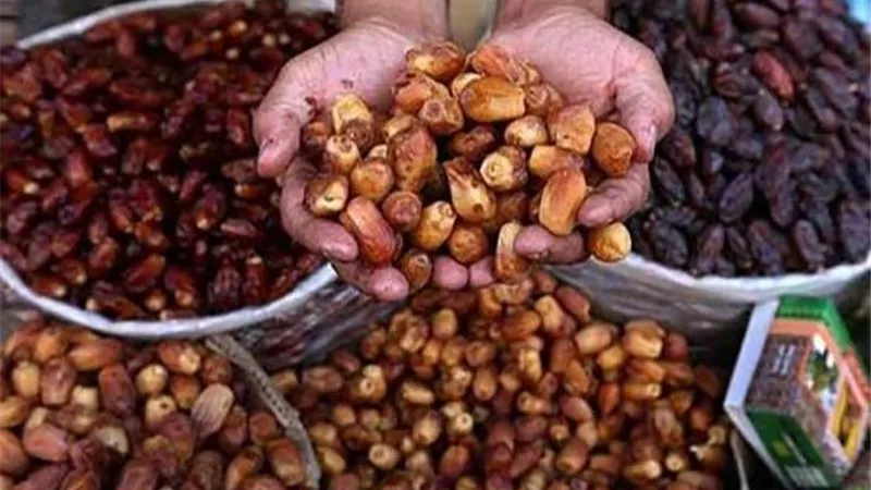 مصر تستعد لتنظيم أكبر ملتقى دولى لتسويق التمور فى الوادى الجديد.. فيديو