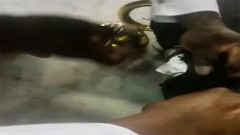 حقيقة وجود طلاسم سحرية في الكعبة