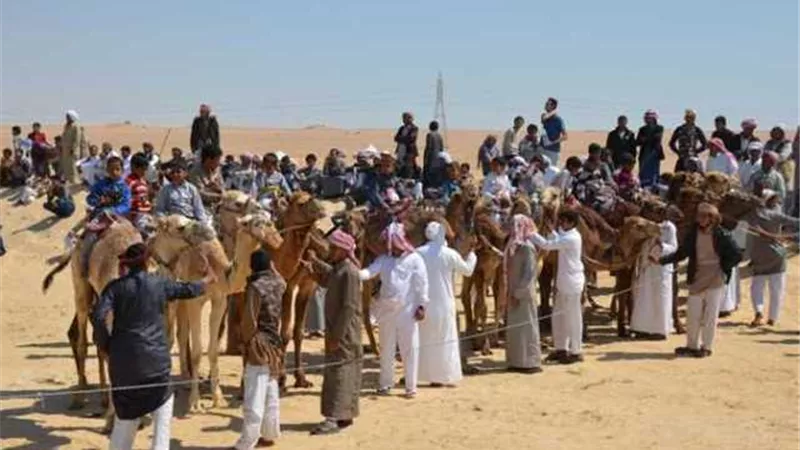 الثلاثاء . الإسماعيلية نسنضيف دورة جديدة من مهرجان سباقات الهجن العربية