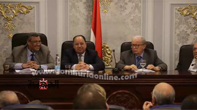 المالية: 75% من ايرادات الدولة عن طريق الضرائب.. ولن نرفع الشرائح