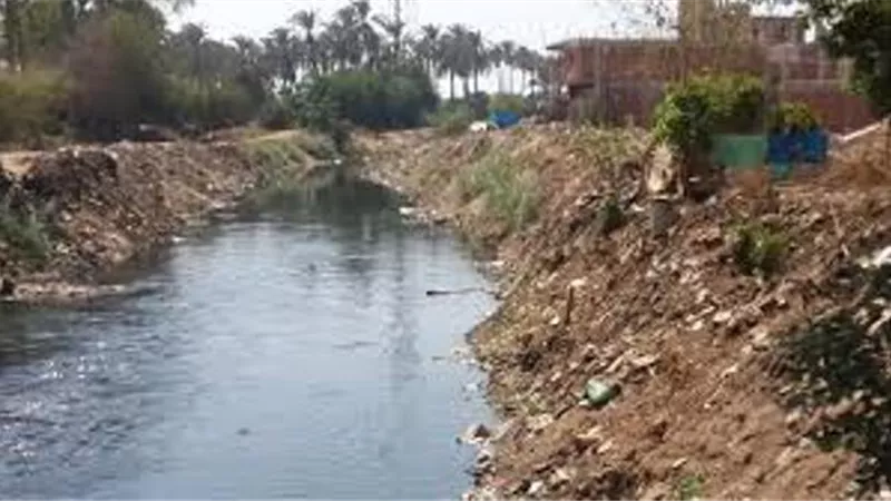 ترك خطابا بانتحاره .. البحث عن جثة صاحب محل القى بنفسه في رشاح شبين القناطر