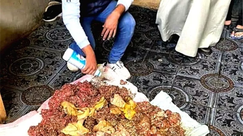ضبط لحوم فاسدة داخل ثلاجات مطاعم ومحال تجارية بالوادى الجديد.صور