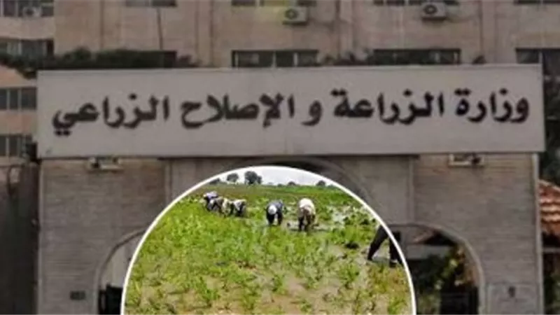 الزراعة تشكل غرفة عمليات للتعامل مع التقلبات الجوية