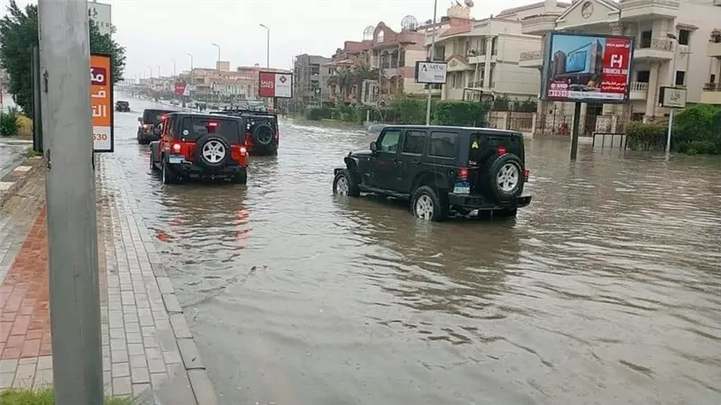 شهامة المصريين فى مواجهة التنين