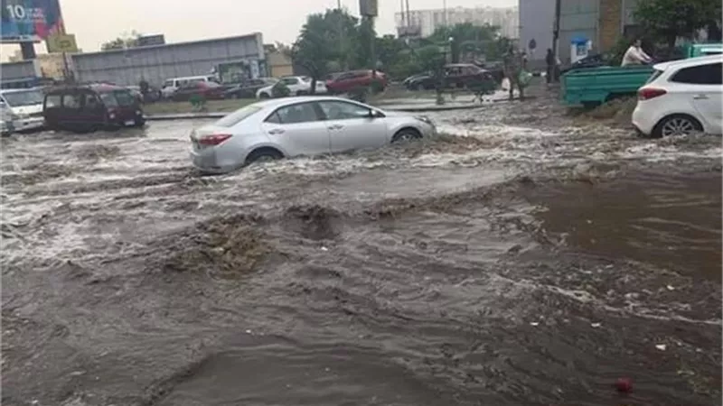 نجوم الفن يعلقون على طقس اليوم السئ وهطول الأمطار بغزارة
