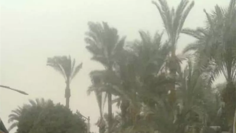 رفع أشجار ونخيل متساقط على الطريق بابوتيج بسبب الطقس