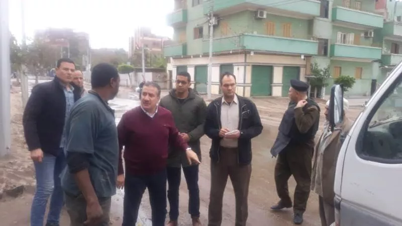 حصاد التنين بالمنوفية