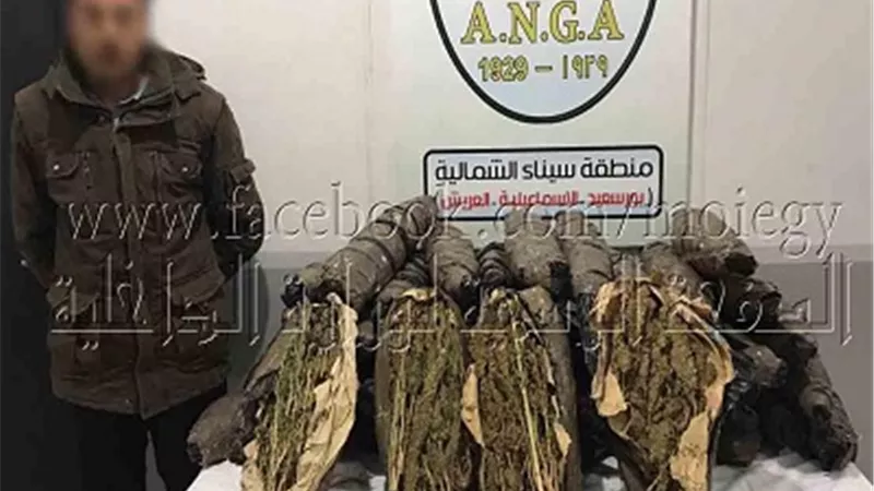 إحباط محاولة نقل وترويج 125 كيلو بانجو بالإسماعيلية