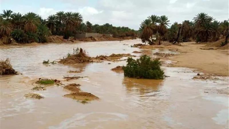 محافظ جنوب سيناء : يشكل لجان عليا لحصر خسائر السيول