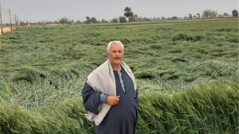 نقيب الفلاحين يرصد بعض الاضرار التي لحقت بالفلاحين في بعض القري المصريه