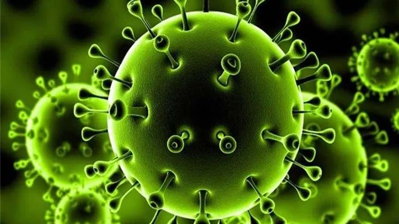 هل تمنع الحرارة المرتفعة انتشار فيروس كورونا؟