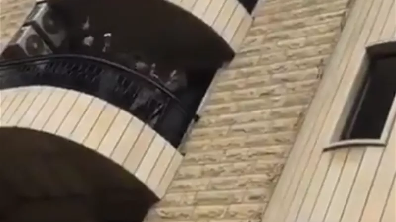 بالفيديو والصور : لبنانيون يواجهون عزلة المنازل بالرقص على بنت الجيران