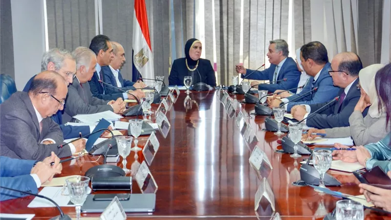 وزيرة التجارة والصناعة تبحث تداعيات ازمة فيروس كورونا على التصدير