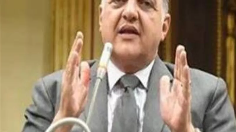 طاقة البرلمان : ليبيا نجحت فى سحق أوهام 