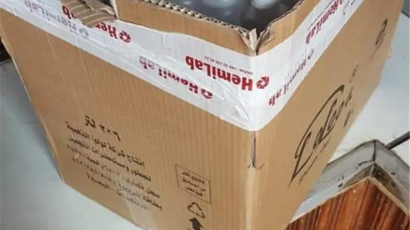 ضبط مطهرات طبية غير صالحة وأسطوانات غاز قبل بيعهم في السوق بكفر الشيخ