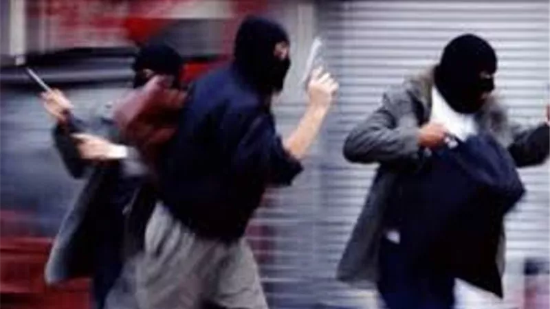 حبس ٤ أشخاص من أسرة واحدة كونوا تشكيلا عصابيا للسطو المسلح في الدقهلية