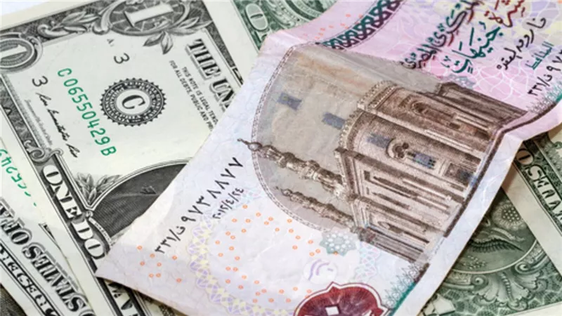 26.8 مليار دولار.. تحويلات المصريين العاملين بالخارج