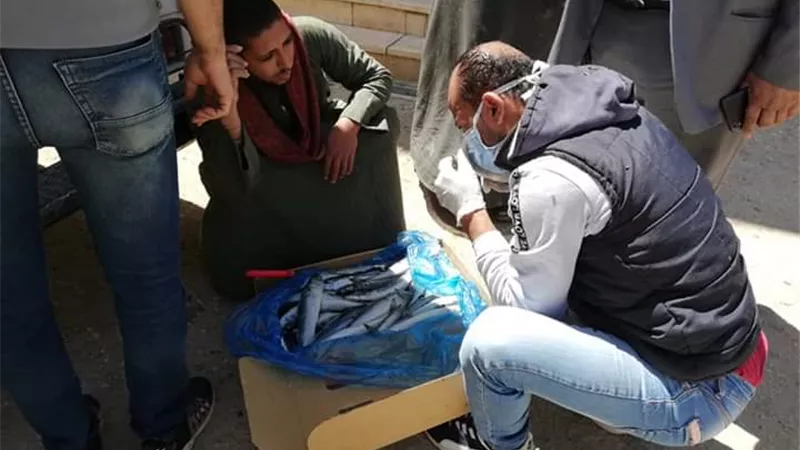 ضبط لحوم فاسدة قادمة من اسيوط فى حملة مكبرة لبيطرى الوادى الجديد