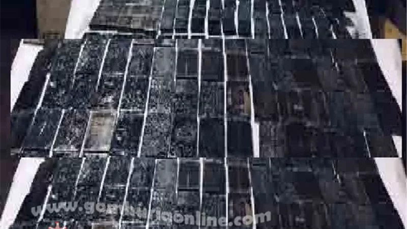 القبض على ضانى العامرية وبحوزته حشيش مغربى بـ 2,8 مليون جنيه صور