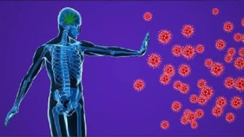 حافظ على جهازك المناعى وتخلص من سموم جسمك بهذه الطريقة