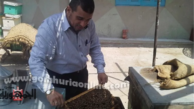 «النحالين العرب» يناشد رئيس الوزراء إستثناء نقل خلايا النحل من قرار الحظر