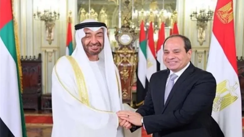 الرئيس السيسي والشيخ محمد بن زايد يبحثان آليات التعاون لمكافحة انتشار كورونا