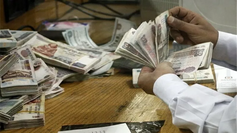 صرف المنحة الإستثنائية لـ3043 من العمالة غير المنتظمة بالوادي الجديد