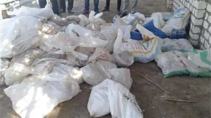 محافظ كفرالشيخ يتابع حملات الطب البيطري التفتيشية على اللحوم بأسواق بيلا
