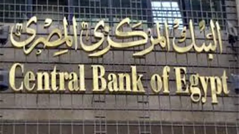 وكيل البنك المركزى يطالب المتعاملين بالفيزا كارد بهذا الطلب الهام