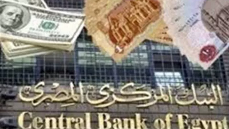 طارق عامر يكشف عن أهم قرارات البنك المركزي لدعم الصناعة المحلية والزراعة.. فيديو
