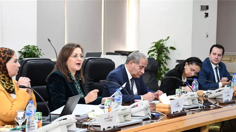 وزراء التخطيط والتضامن والتموين يبحثون مع القومي للأجور الأوضاع في ظل أزمة كورونا