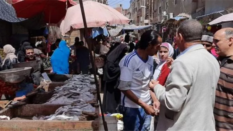 حملات تموينية في القنطرة غرب بالإسماعيلية لضبط المستغلين لأزمة كورونا.صور