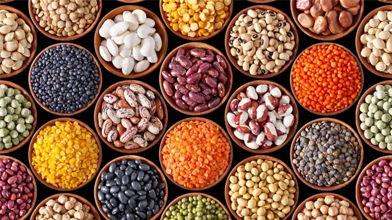 الحاصلات الزراعية تطالب بفترة سماح 15 يوما لتصدير البقوليات المتعاقد عليها