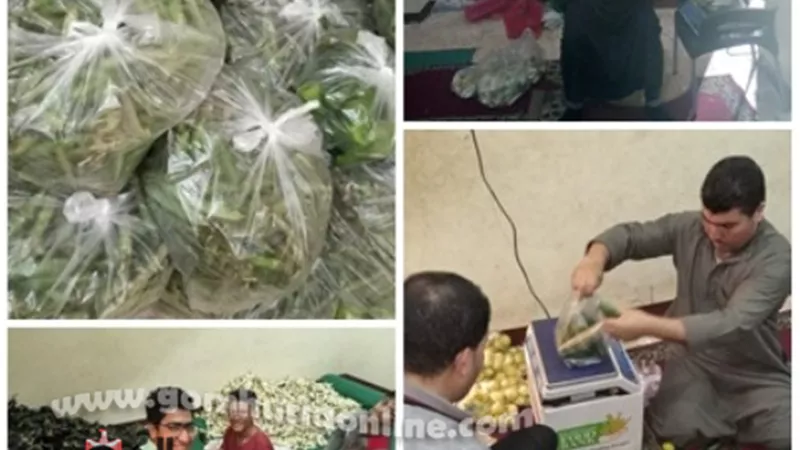 لمجابهة وباء كورونا.. شباب الكوادى ومنيل عروس يبادرون بتوصيل الخضار إلي المنازل بأسعار الجملة