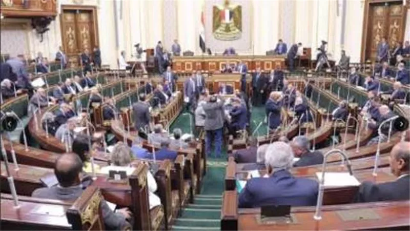مقترح برلماني بحظر تصدير كافة السلع الغذائيةوالأدوية مؤقتًا