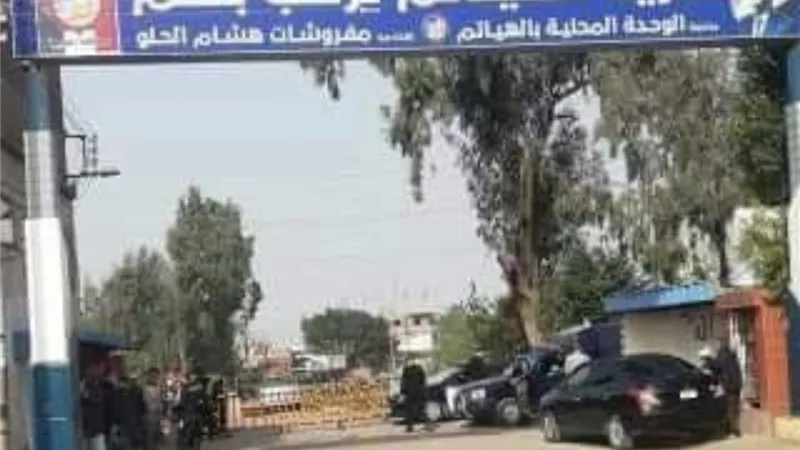 اجهزة محافظة الغربية والصحة بدأت فى تطهير وتعقيم قرية الهياتم بالمحلة الكبرى